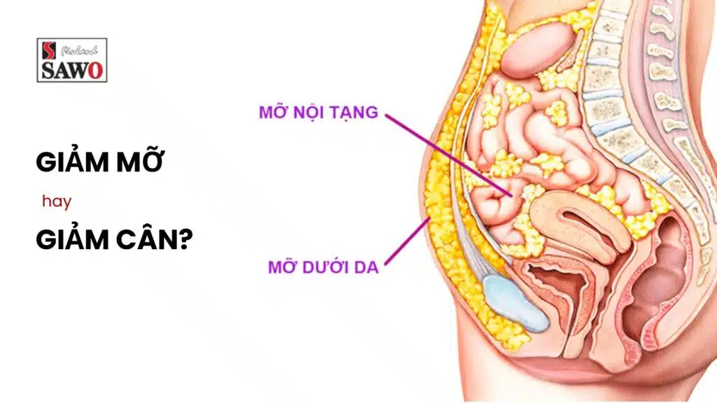 Giảm mỡ hay giảm cân