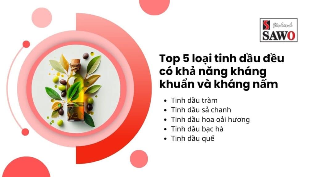 Top 5+ Loại Tinh Dầu Xông Hơi Tốt Cho Xông Hơi Tại Nhà 7 Tinh dầu có khả năng kháng khuẩn