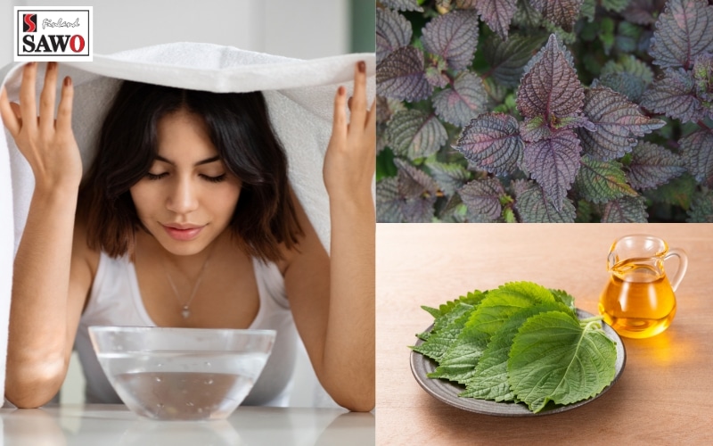 Hướng dẫn cách xông mặt bằng lá tía tô